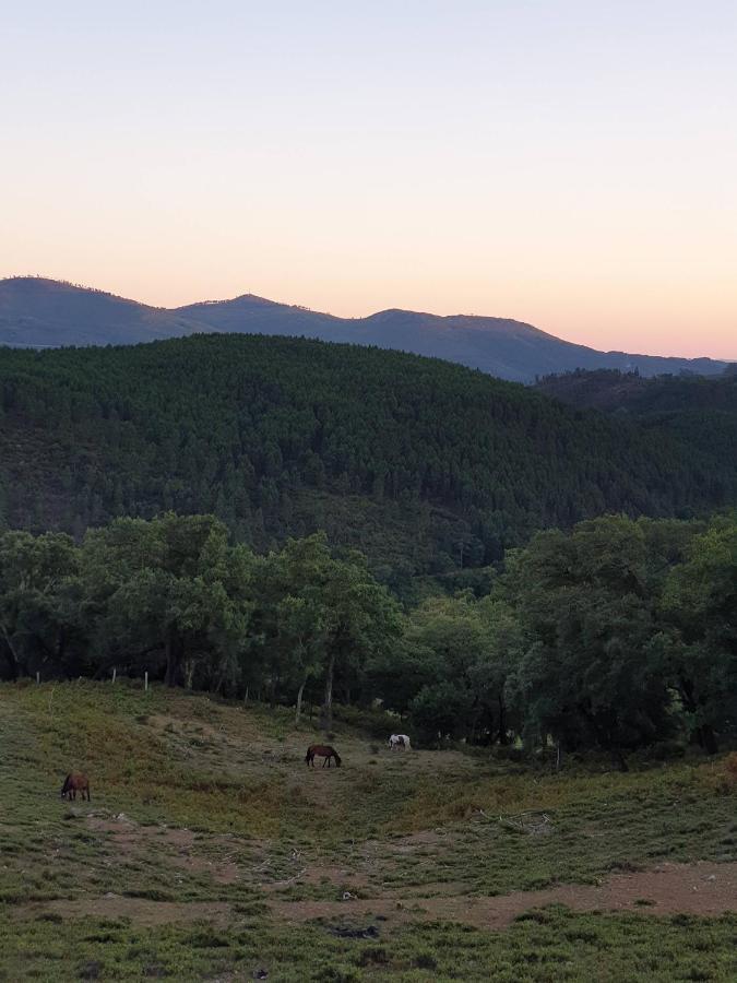 Casa D' Alem Turismo E Natureza - Refugio Do Valouto Torneiro Εξωτερικό φωτογραφία